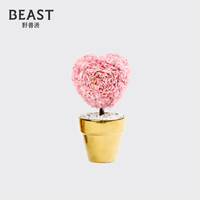 THE BEAST 野兽派 蝴蝶花 迷你永生花树