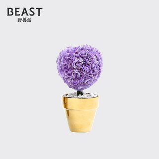 THE BEAST 野兽派 蝴蝶花 迷你永生花树