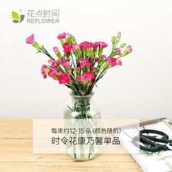 REFLOWER 花点时间 自然·单品鲜花 康乃馨 12枝 周一收花