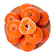 广西沃柑 柑橘2.5kg 新鲜水果