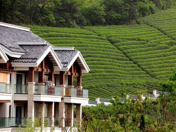 酒店特惠：在这家茶园深处的隐居酒店，过一天山野慢生活