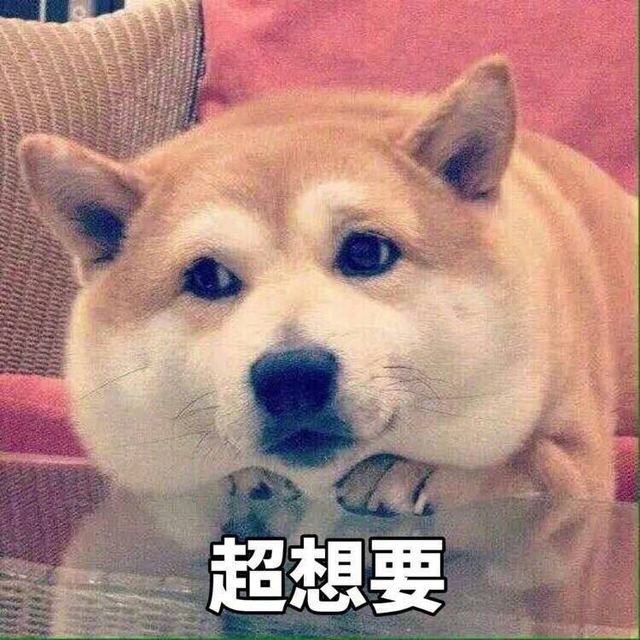 没什么好推荐的，不相信