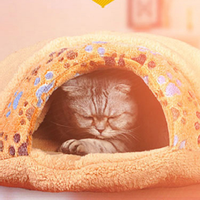 房价太贵？穷啥不能穷主子 给猫主子买“房”推荐榜
