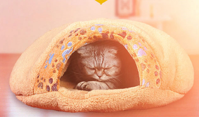 房价太贵？穷啥不能穷主子 给猫主子买“房”推荐榜
