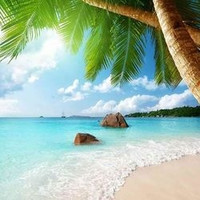 自由行：全国多地-三亚5天4晚（1晚鸟巢别墅+3晚人气五星酒店任选）