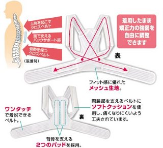 Magico 姿势 支撑带 L