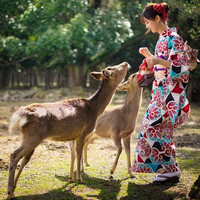 当地参团：制作宇治抹茶！大阪-京都清水寺+平安神宫+祗园+奈良公园喂小鹿+东大寺1日游