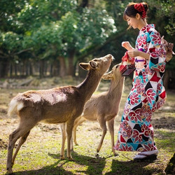 制作宇治抹茶！大阪-京都清水寺+平安神宫+祗园+奈良公园喂小鹿+东大寺1日游