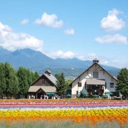 上海-日本北海道札幌5天往返含税机票+首晚或末晚酒店