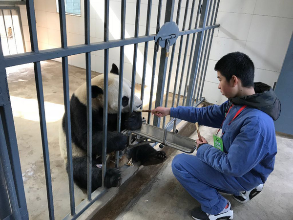 成都大熊猫基地 爱心饲养员！