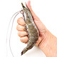 活冻泰国女王虾（21-30只/kg）850g *2件