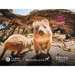 西澳大利亚十大挑战 行中播报第2期 
