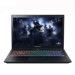 ThundeRobot 雷神 911S 15.6英寸游戏笔记本电脑（i7-8750H、16GB、128GB+1TB、GTX1060 6G、144Hz）