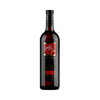 Viento Sur 彩风 赤霞珠美乐红葡萄酒 750ml