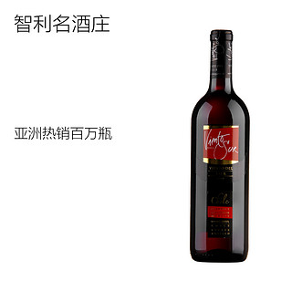 Viento Sur 彩风 赤霞珠美乐红葡萄酒 750ml