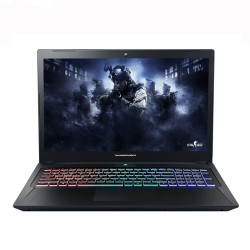ThundeRobot 雷神 911S旗舰版 15.6英寸游戏本（i7-8750H、8GB、128GB+1TB、GTX1060 6G）