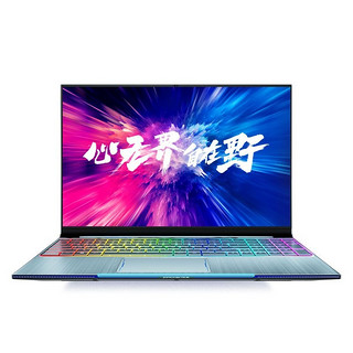 MACHENIKE 机械师 F117-B6CK 15.6英寸 笔记本电脑 (银色、酷睿i7-8750H、8GB、256GB SSD、GTX 1060 6G)