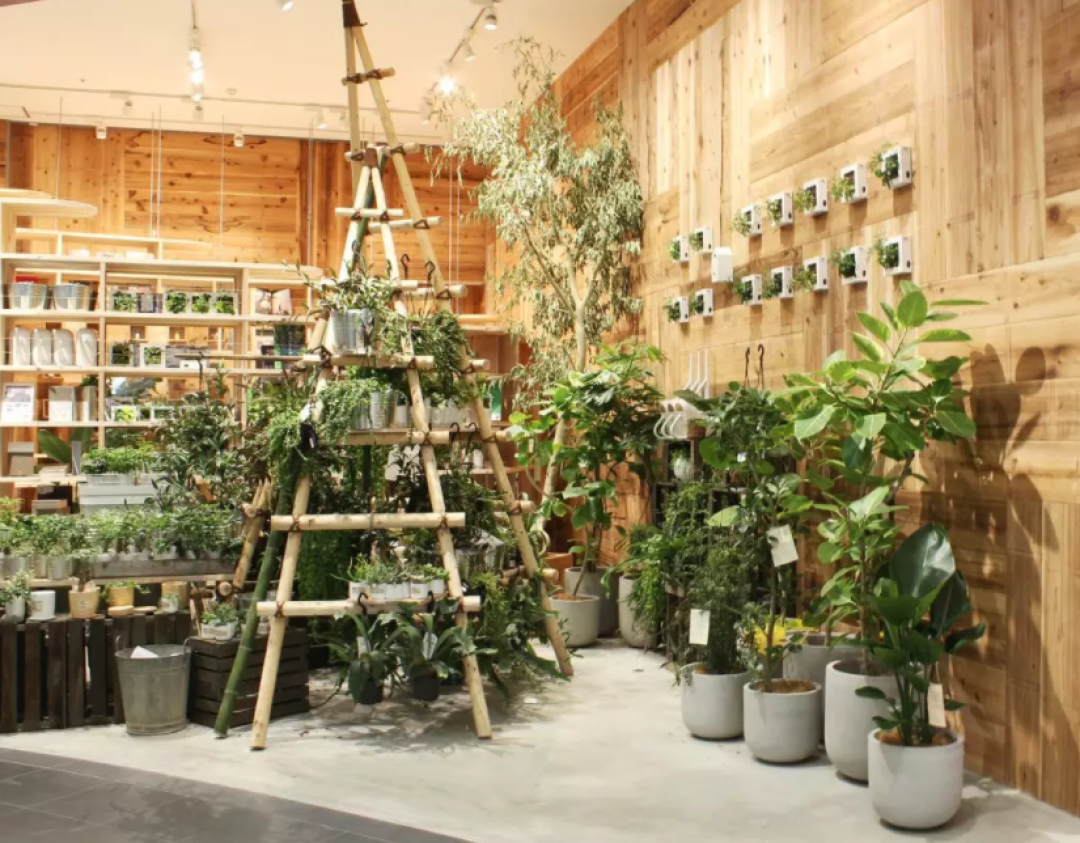 带你逛 | 我们去了全球最大的MUJI菜市场,发现原来菜市场还可以这样开