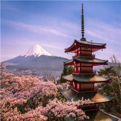 北京领区 日本三年多次旅游签证 不限定城市停