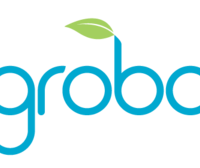 Grobo One Hydroponic 智能家庭栽培系统