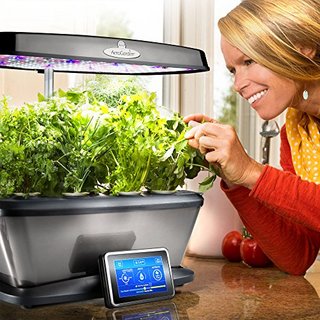 AeroGarden Bounty Elite 苗圃小花园+种子套装