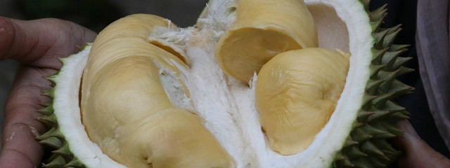 淘宝榴莲零食大盘点，没有吃过这10款就不要说自己是榴莲控！