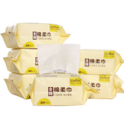Wellber 威尔贝鲁 婴儿手口专用干湿巾 100抽*6包 *8件