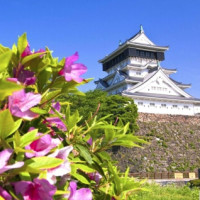 特价机票：北京/山东烟台-日本福冈5天往返经济舱