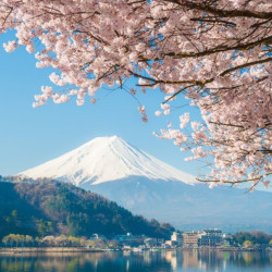 天津航空/日本航空 天津-日本东京/大阪/名古屋6-7天往返含税