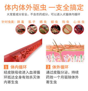 revolution 大宠爱 驱虫药滴剂 3支装