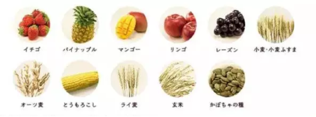 饱腹又健康的早餐,每天花10分钟就能搞定