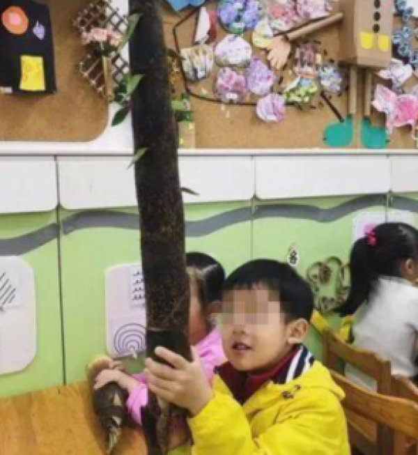 春末夏至,不负春光,不负美食