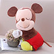 迪士尼Disney 梦香系列 儿童毛绒玩具 生日礼物 软体抱枕 公仔玩偶布娃娃靠垫 12