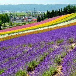 上海-日本北海道札幌5天往返含税机票 另有机票+酒店套餐可选