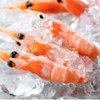 熟冻加拿大北极甜虾（120+/kg）500g*3件+新西兰精修带骨牛肋排 400g*4件