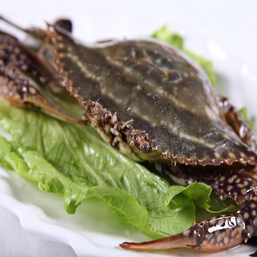 冷冻海蟹一定比鲜食差? 线上海蟹种类盘点