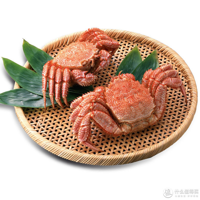冷冻海蟹一定比鲜食差？ 线上海蟹种类盘点