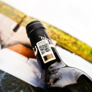 CHATEAU BEYCHEVELLE 龙船庄园 法国波尔多干型红葡萄酒 750ml