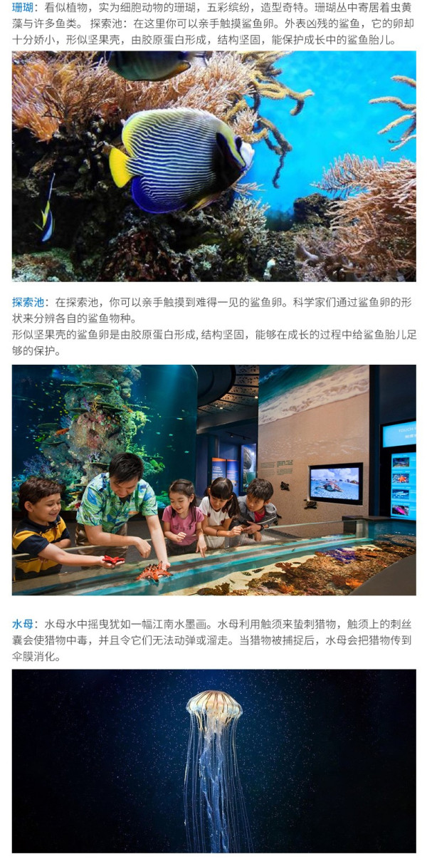 新加坡环球影城+SEA海洋馆+水上探险乐园大门票