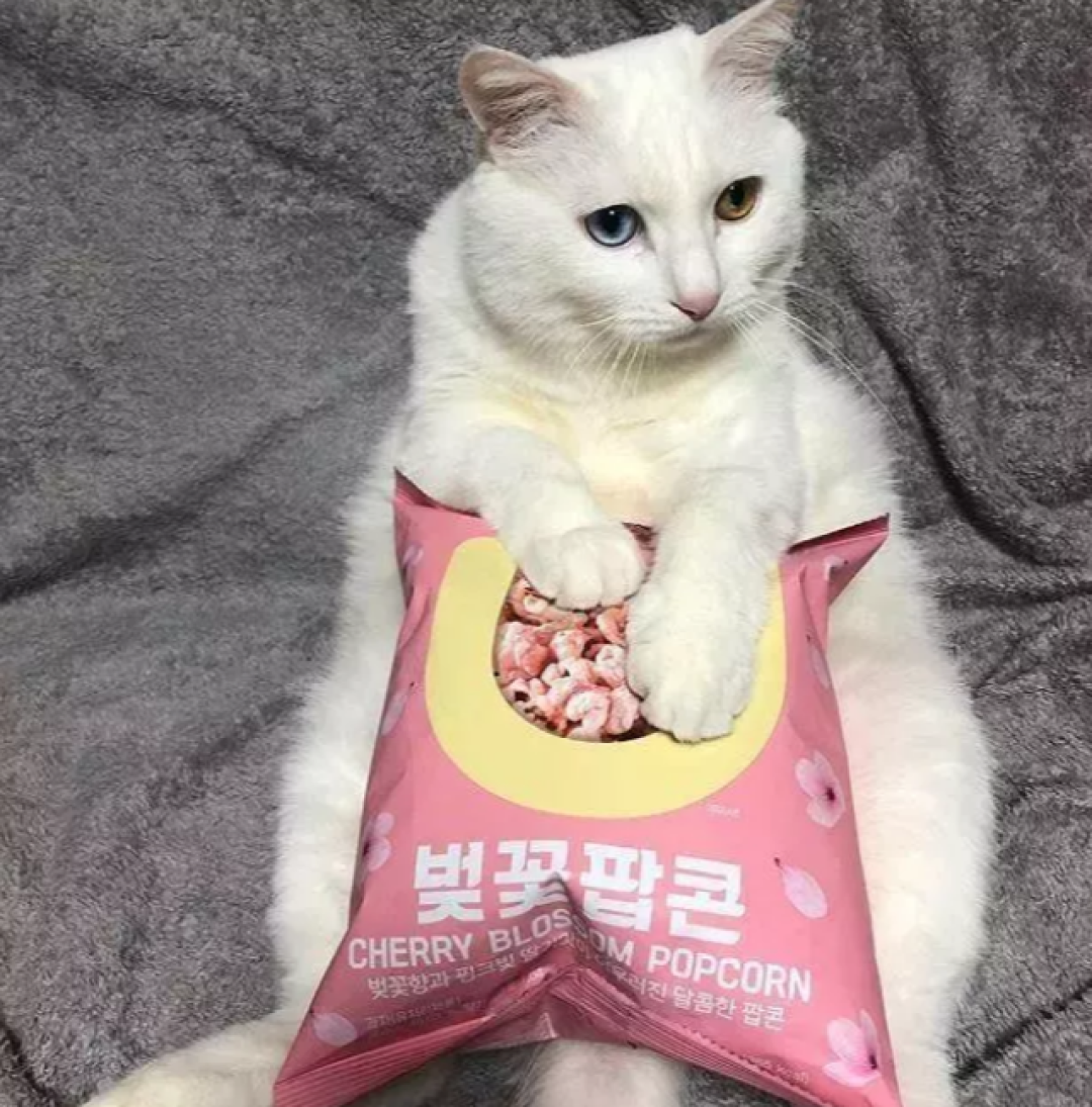 去不了日本看樱花,还有这6款樱花美食炸裂你的少女心