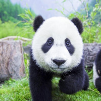 西安旅游线路介绍
