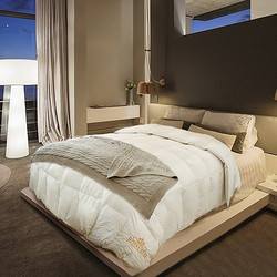 OBB Royal Bed 博登系列 Bodensee 95.2%鹅绒被 200*230cm 