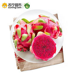 展卉 越南进口红心火龙果 4个装 单果约300~400g