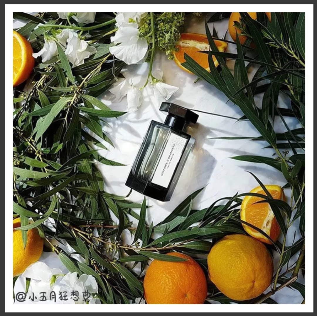 超适合夏日的香水推荐!手把手教你怎么挑香水