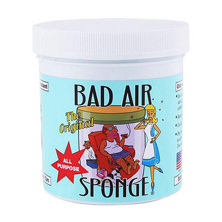 BAD AIR SPONGE 空气净化剂 400g