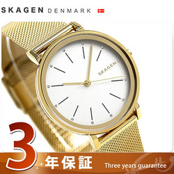 SKAGEN SKW2509 女士腕表