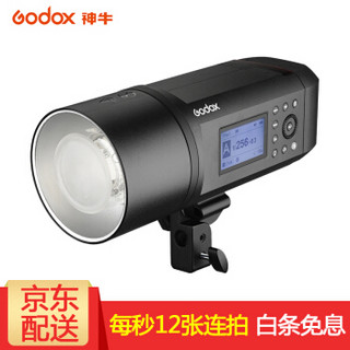 Godox 神牛 AD600PRO 外拍灯