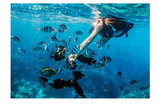 海岛游旱鸭子福利:泰国芭提雅格兰岛一日游(浮