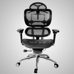 享耀家（WantHome） SL-A3 人体工学椅电脑椅 幻影黑
