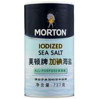 MODUN 莫顿 加碘 海盐